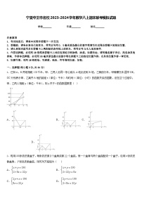 宁夏中卫市名校2023-2024学年数学八上期末联考模拟试题含答案