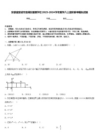 安徽省宣城市宣州区雁翅学校2023-2024学年数学八上期末联考模拟试题含答案