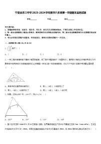 宁夏吴忠三中学2023-2024学年数学八年级第一学期期末监测试题含答案