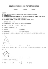 安徽省蚌埠市怀远县2023-2024学年八上数学期末考试试题含答案