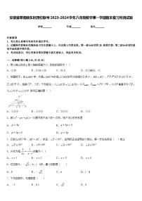 安徽省阜阳颍东区四校联考2023-2024学年八年级数学第一学期期末复习检测试题含答案