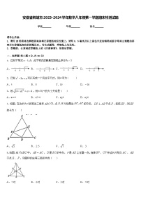 安徽省桐城市2023-2024学年数学八年级第一学期期末检测试题含答案