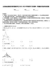 山东南山集团东海外国语学校2023-2024学年数学八年级第一学期期末质量检测试题含答案