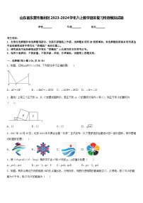 山东省东营市垦利区2023-2024学年八上数学期末复习检测模拟试题含答案