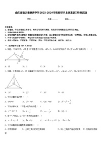 山东省临沂市野店中学2023-2024学年数学八上期末复习检测试题含答案