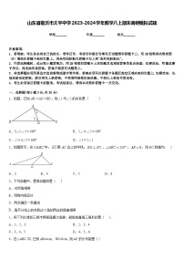 山东省临沂市太平中学2023-2024学年数学八上期末调研模拟试题含答案