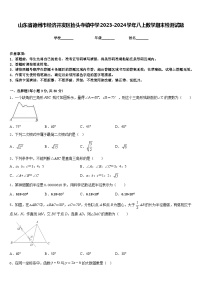 山东省德州市经济开发区抬头寺镇中学2023-2024学年八上数学期末检测试题含答案