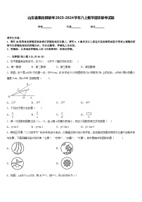 山东省惠民县联考2023-2024学年八上数学期末联考试题含答案