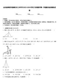 山东省淄博市临淄区召口乡中学2023-2024学年八年级数学第一学期期末监测模拟试题含答案