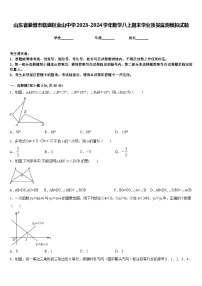 山东省淄博市临淄区金山中学2023-2024学年数学八上期末学业质量监测模拟试题含答案