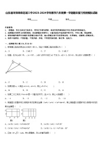 山东省菏泽单县北城三中2023-2024学年数学八年级第一学期期末复习检测模拟试题含答案