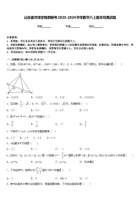 山东省菏泽定陶县联考2023-2024学年数学八上期末经典试题含答案