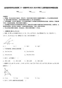 山东省菏泽市牡丹区第二十一初级中学2023-2024学年八上数学期末统考模拟试题含答案