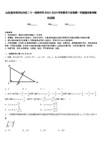 山东省菏泽市牡丹区二十一初级中学2023-2024学年数学八年级第一学期期末联考模拟试题含答案