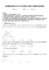 山东省聊城市临清市2023-2024学年数学八年级第一学期期末达标测试试题含答案