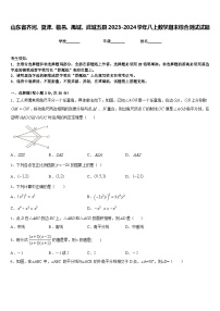 山东省齐河、夏津、临邑、禹城、武城五县2023-2024学年八上数学期末综合测试试题含答案