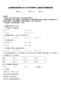 山东省青岛市胶州市2023-2024学年数学八上期末复习检测模拟试题含答案