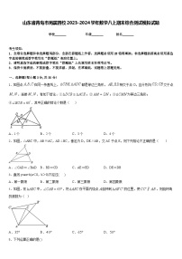 山东省青岛市局属四校2023-2024学年数学八上期末综合测试模拟试题含答案