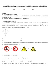 山东省青岛市青岛大附属中学2023-2024学年数学八上期末教学质量检测模拟试题含答案