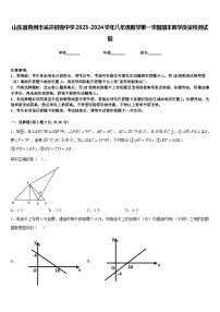 山东省青州市吴井初级中学2023-2024学年八年级数学第一学期期末教学质量检测试题含答案