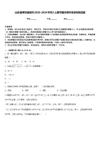 山东省潍坊诸城市2023-2024学年八上数学期末教学质量检测试题含答案