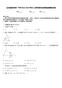 山东省诸城市树一中学2023-2024学年八上数学期末质量跟踪监视模拟试题含答案