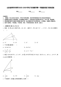 山东省潍坊市寒亭2023-2024学年八年级数学第一学期期末复习检测试题含答案