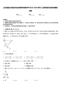 山东省烟台市招远市金岭镇邵家初级中学2023-2024学年八上数学期末达标检测模拟试题含答案