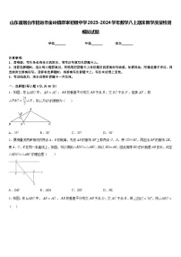 山东省烟台市招远市金岭镇邵家初级中学2023-2024学年数学八上期末教学质量检测模拟试题含答案