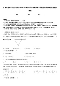 广东汕尾甲子镇瀛江学校2023-2024学年八年级数学第一学期期末质量跟踪监视模拟试题含答案