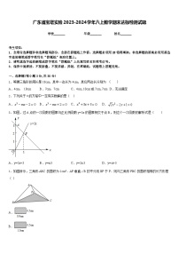 广东省宝塔实验2023-2024学年八上数学期末达标检测试题含答案