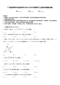 广东省东莞市长安实验中学2023-2024学年数学八上期末考试模拟试题含答案