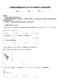 广东省佛山市超盈实验中学2023-2024学年数学八上期末考试试题含答案