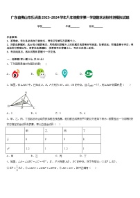 广东省佛山市乐从镇2023-2024学年八年级数学第一学期期末达标检测模拟试题含答案