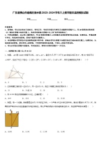 广东省佛山市南海区里水镇2023-2024学年八上数学期末监测模拟试题含答案