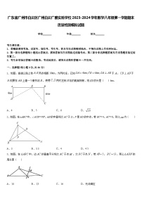 广东省广州市白云区广州白云广雅实验学校2023-2024学年数学八年级第一学期期末质量检测模拟试题含答案