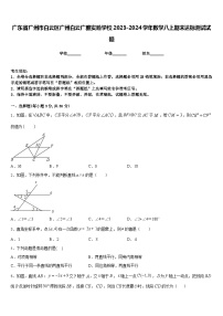 广东省广州市白云区广州白云广雅实验学校2023-2024学年数学八上期末达标测试试题含答案