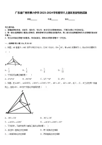 广东省广州市第六中学2023-2024学年数学八上期末质量检测试题含答案