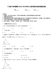 广东省广州市番禺区2023-2024学年八上数学期末达标检测模拟试题含答案