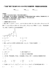 广东省广州市广州大附中2023-2024学年八年级数学第一学期期末达标检测试题含答案