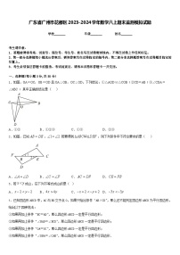 广东省广州市花都区2023-2024学年数学八上期末监测模拟试题含答案