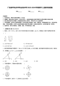 广东省中学山市中学山纪念中学2023-2024学年数学八上期末检测试题含答案