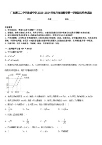 广东湛江二中学港城中学2023-2024学年八年级数学第一学期期末统考试题含答案