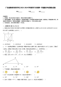 广东省惠州市英华学校2023-2024学年数学八年级第一学期期末考试模拟试题含答案