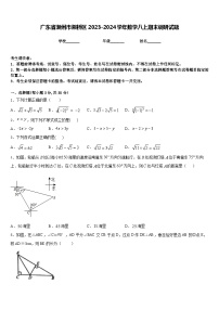 广东省潮州市湘桥区2023-2024学年数学八上期末调研试题含答案