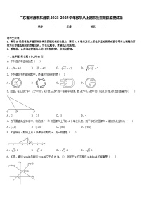 广东省河源市东源县2023-2024学年数学八上期末质量跟踪监视试题含答案