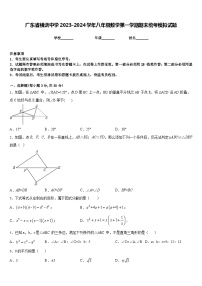 广东省横沥中学2023-2024学年八年级数学第一学期期末统考模拟试题含答案