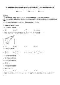 广东省揭阳产业园实验中学2023-2024学年数学八上期末学业质量监测试题含答案