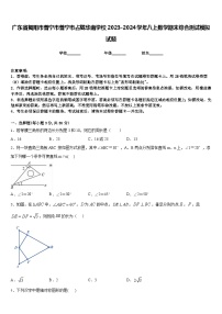 广东省揭阳市普宁市普宁市占陇华南学校2023-2024学年八上数学期末综合测试模拟试题含答案