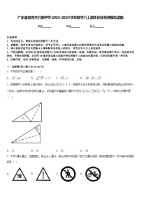 广东省茂名市行知中学2023-2024学年数学八上期末达标检测模拟试题含答案